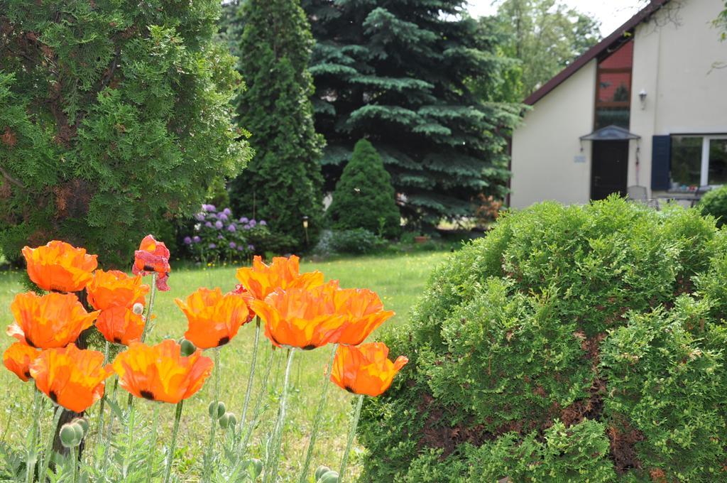 Be Well 3-Rooms Apartment With Parking And Garden Varsovie Extérieur photo